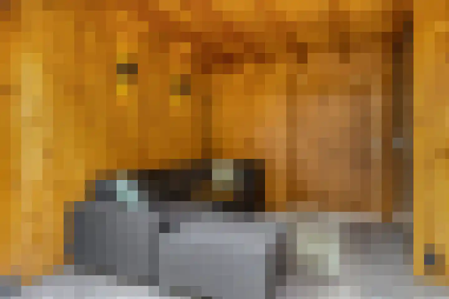 Blankenburg 18 Deventer thumbnail 36