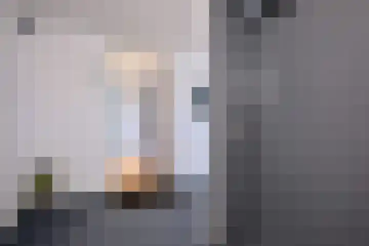 Blankenburg 9 Deventer thumbnail 5