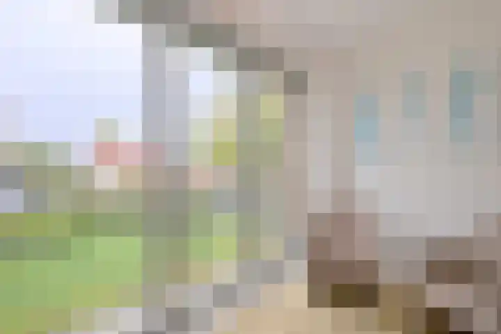 Blankenburg 9 Deventer thumbnail 8