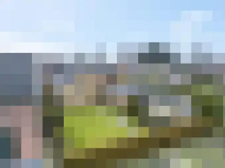Blankenburgsestraat 15 Ophemert thumbnail 5