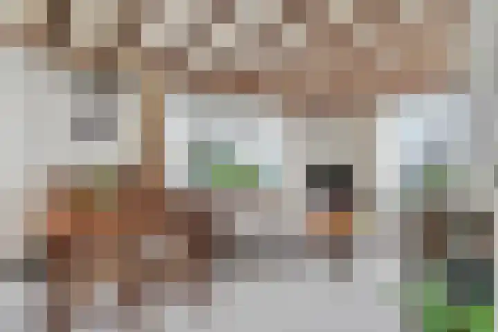 Blankenburgsestraat 15 Ophemert thumbnail 9