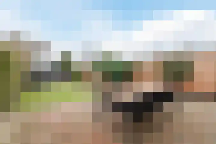 Blankenslaan-West 79 a Hoogeveen thumbnail 47