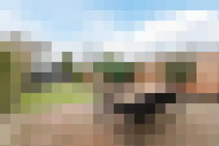 Blankenslaan-West 79 a Hoogeveen thumbnail 6