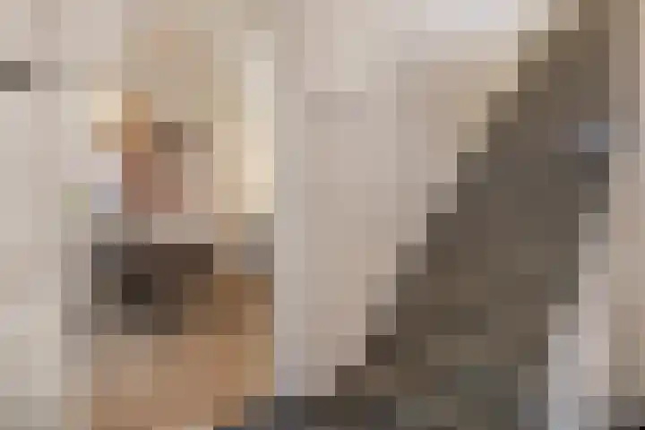 Blankensteijn 4 Hedel thumbnail 11
