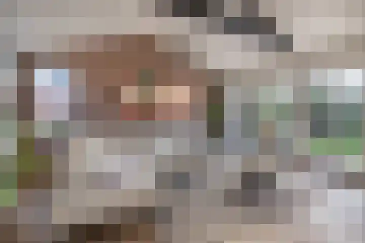 Blankensteijn 4 Hedel thumbnail 16