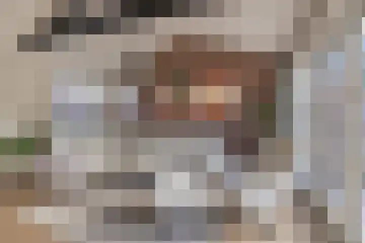 Blankensteijn 4 Hedel thumbnail 17