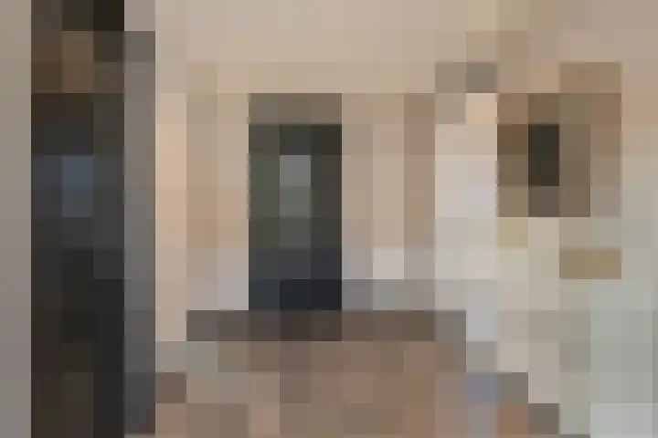 Blankensteijn 4 Hedel thumbnail 18