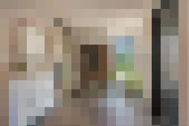 Blankensteijn 4 Hedel thumbnail 19