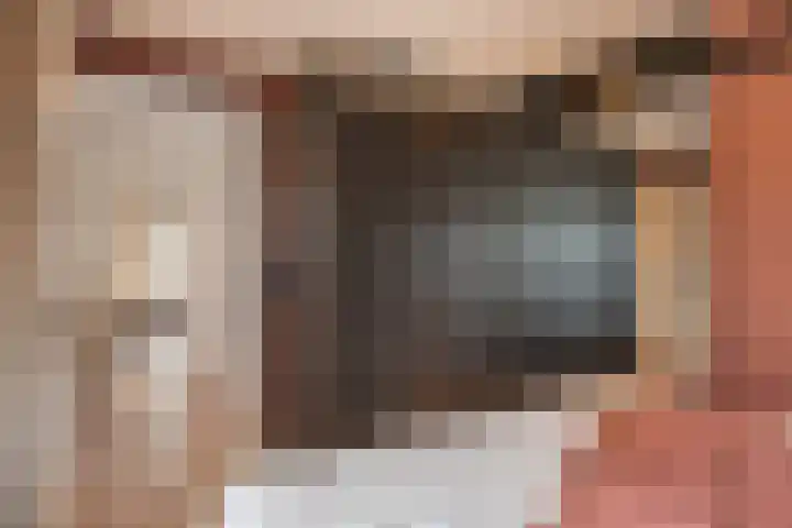 Blankensteijn 4 Hedel thumbnail 21
