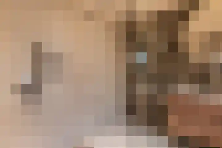 Blankensteijn 4 Hedel thumbnail 27