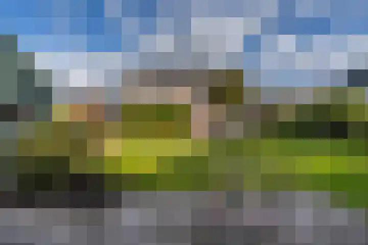 Blankensteijn 4 Hedel thumbnail 34