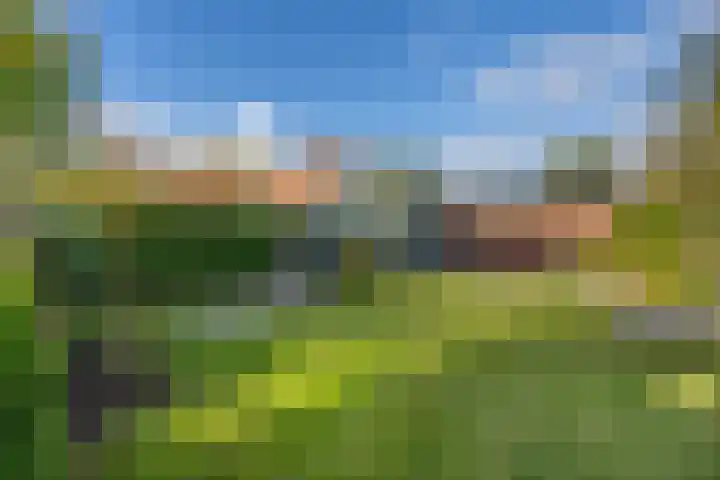 Blankensteijn 4 Hedel thumbnail 35