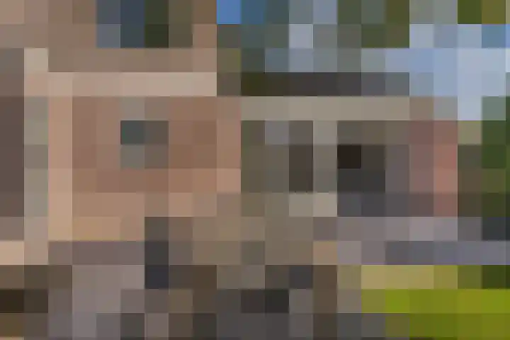 Blankensteijn 4 Hedel thumbnail 38