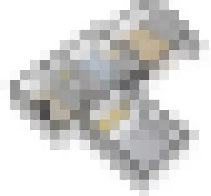 Blankensteijn 4 Hedel thumbnail 45