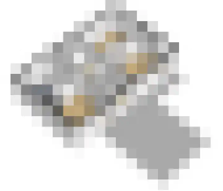 Blankensteijn 4 Hedel thumbnail 46