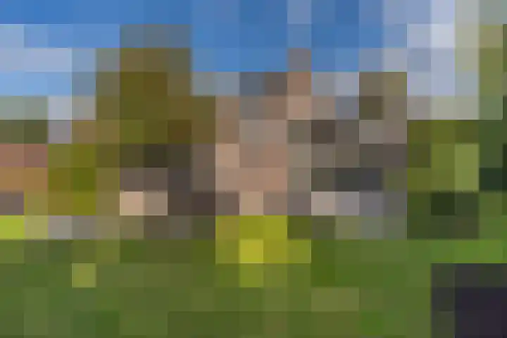 Blankensteijn 4 Hedel thumbnail 5