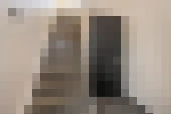 Blankensteijn 4 Hedel thumbnail 7