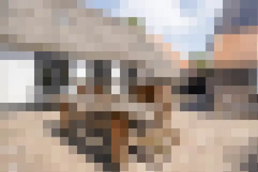 Blankensteinweg 42 Meppel thumbnail 46