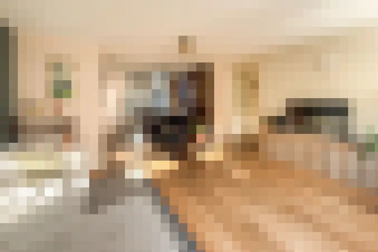 Blankenstraat 101 C Amsterdam foto 2