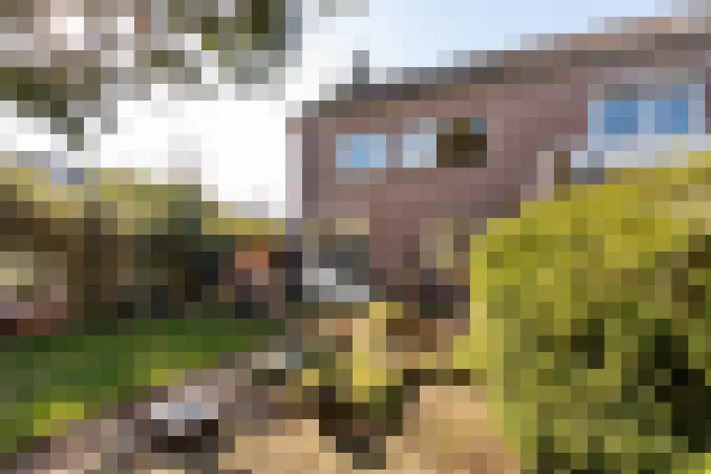 Blankenstraat 157 Hoofddorp thumbnail 14