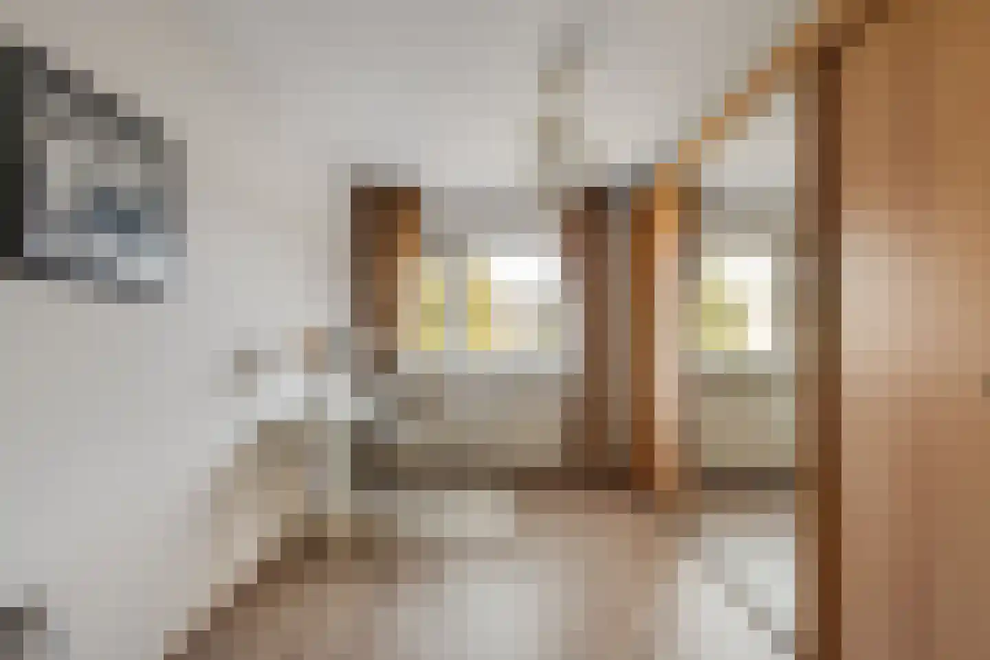 Blankenstraat 157 Hoofddorp thumbnail 21