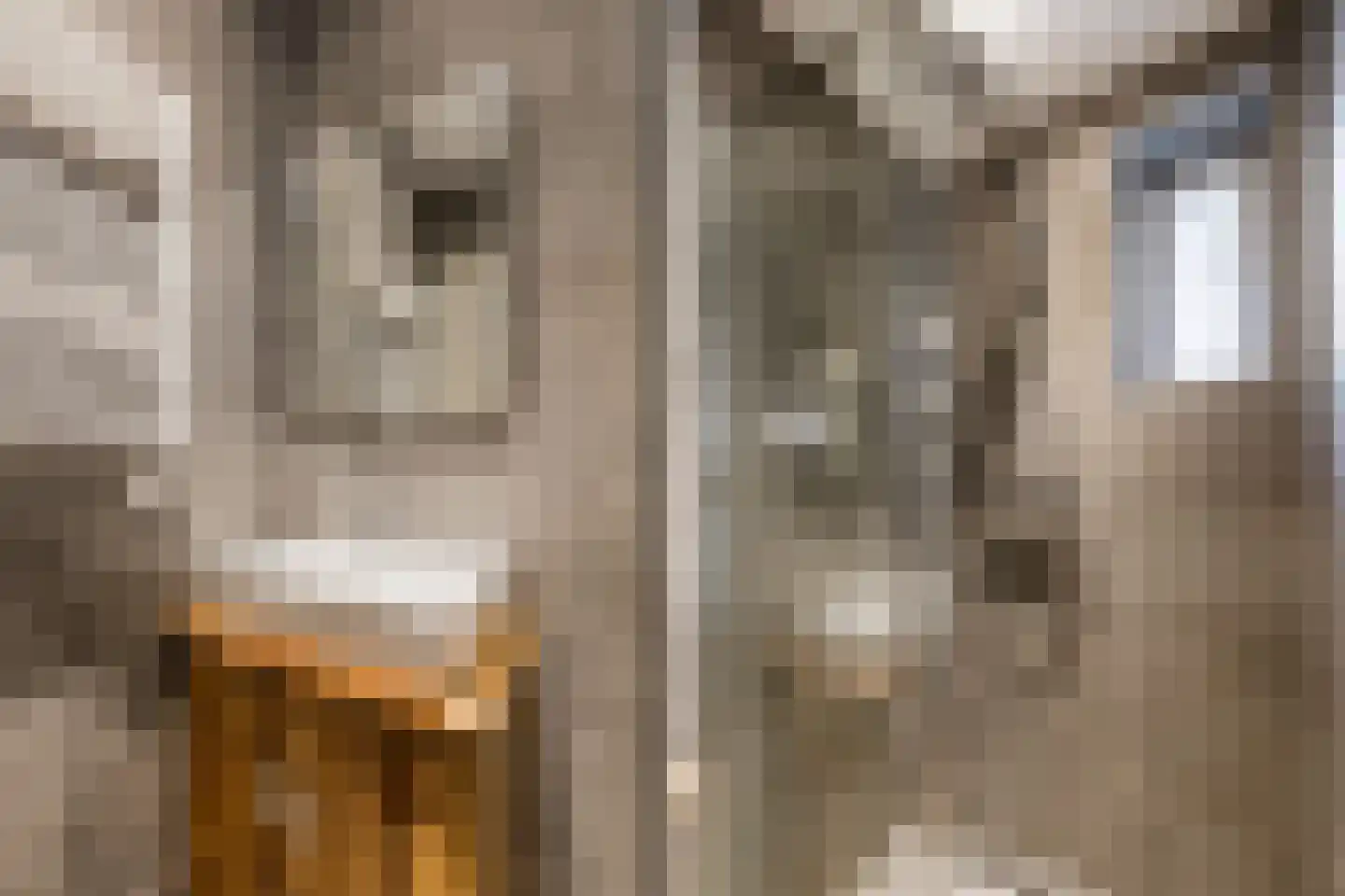 Blankenstraat 175 1 Amsterdam thumbnail 13