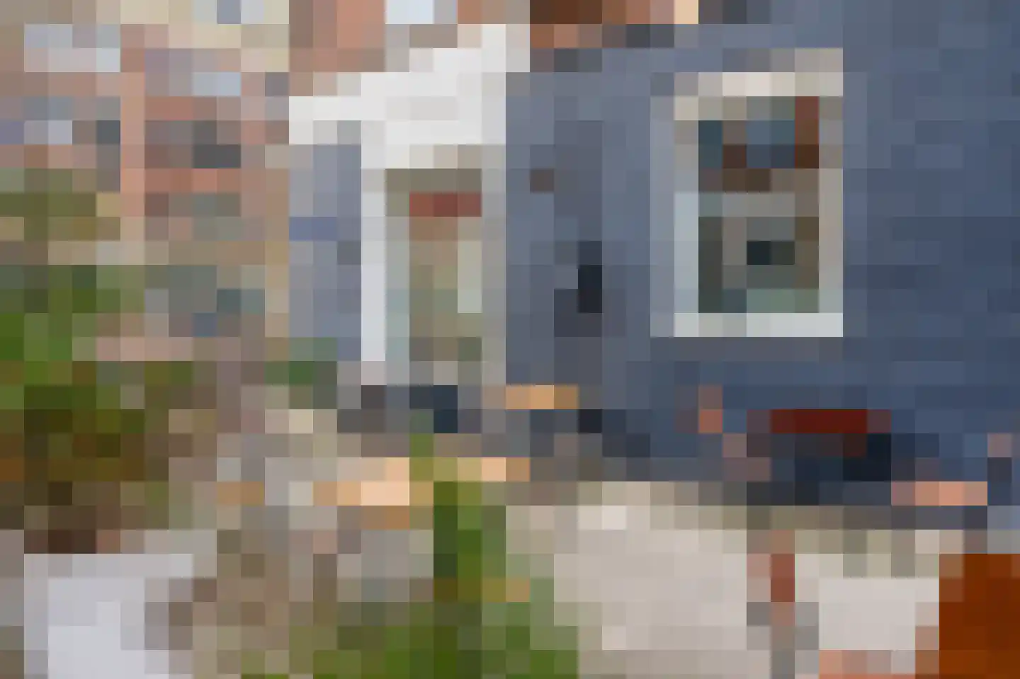 Blankenstraat 175 1 Amsterdam thumbnail 20