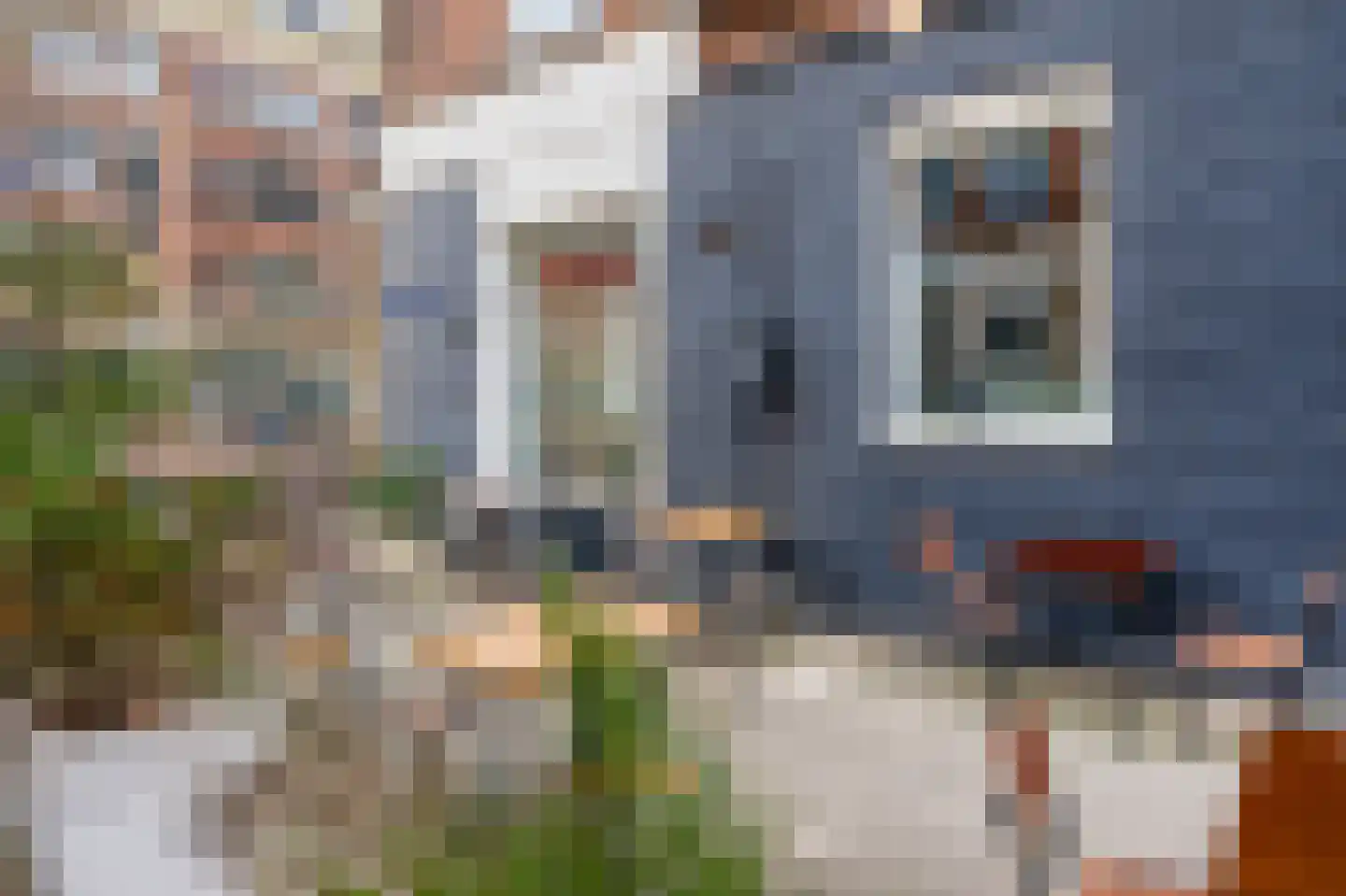 Blankenstraat 175 2V Amsterdam thumbnail 27