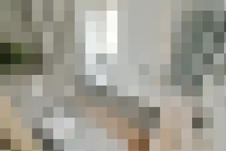 Blankenstraat 38 Hoofddorp thumbnail 13