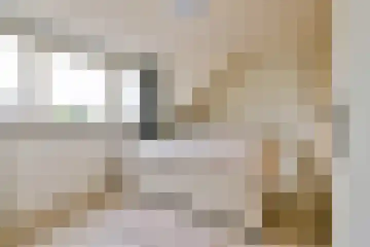 Blankenstraat 38 Hoofddorp thumbnail 20