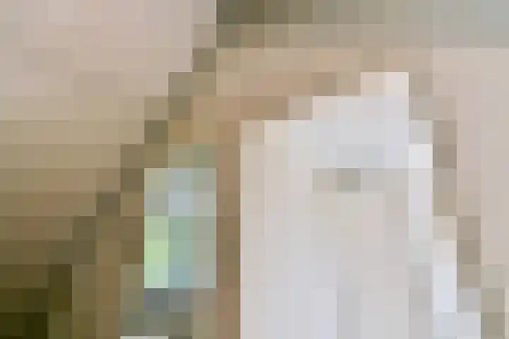 Blankenstraat 89 Hoofddorp thumbnail 30
