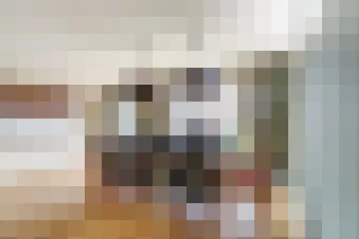 Blankenstrjitte 32 Kollumersweach thumbnail 13