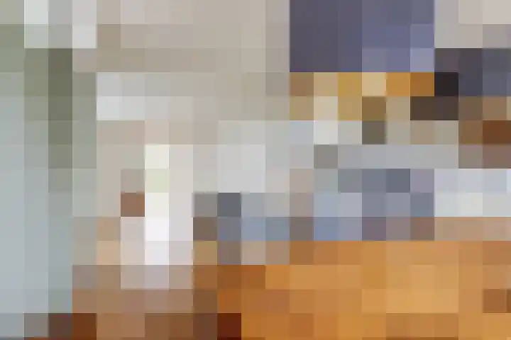 Blankenstrjitte 32 Kollumersweach thumbnail 16