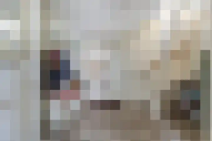 Blankenstrjitte 32 Kollumersweach thumbnail 17