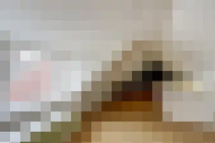 Blankenstrjitte 32 Kollumersweach thumbnail 29