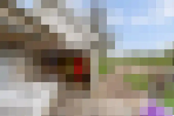 Blankenstrjitte 32 Kollumersweach thumbnail 37