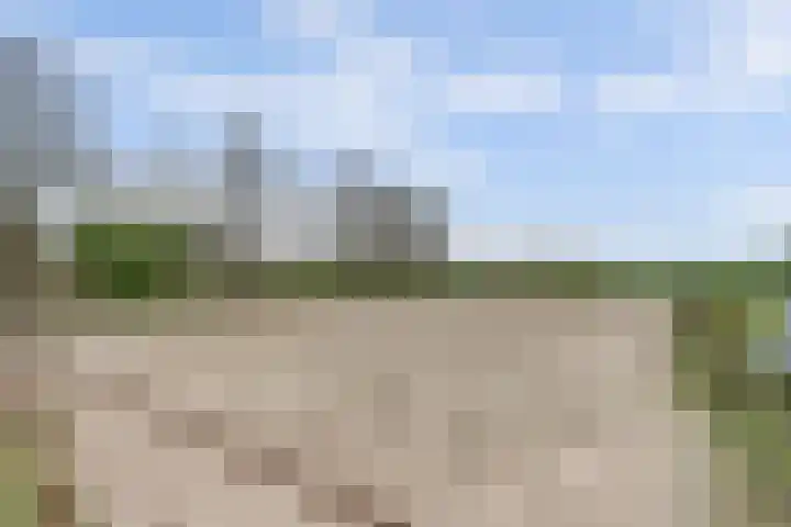 Blankenstrjitte 32 Kollumersweach thumbnail 38