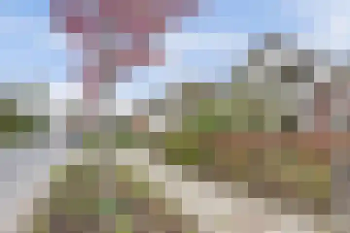 Blankenstrjitte 32 Kollumersweach thumbnail 45