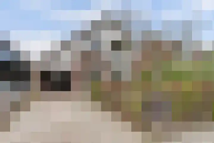 Blankenstrjitte 32 Kollumersweach thumbnail 48