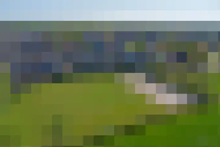 Blankenstrjitte 32 Kollumersweach thumbnail 52