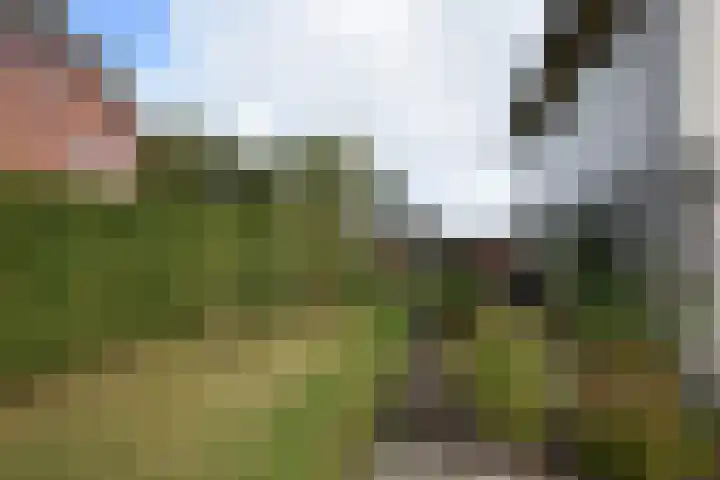Blankenstrjitte 36 Kollumersweach thumbnail 10