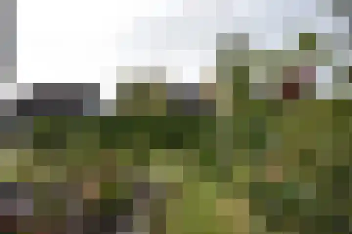 Blankenstrjitte 36 Kollumersweach thumbnail 11