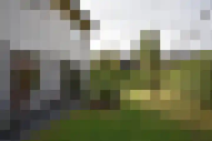 Blankenstrjitte 36 Kollumersweach thumbnail 12