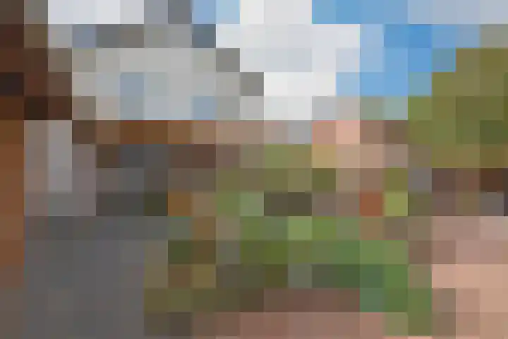 Blankenstrjitte 36 Kollumersweach thumbnail 17
