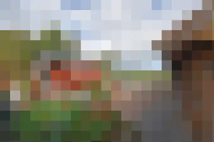 Blankenstrjitte 36 Kollumersweach thumbnail 18