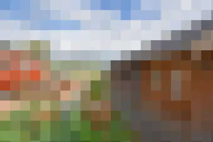 Blankenstrjitte 36 Kollumersweach thumbnail 19