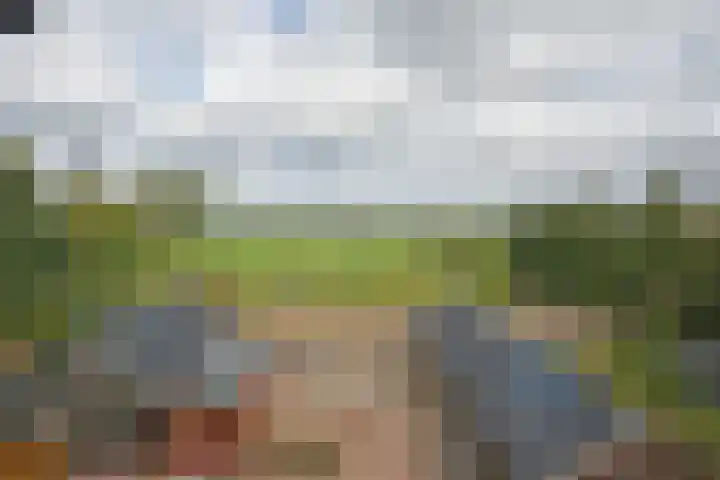 Blankenstrjitte 36 Kollumersweach thumbnail 4