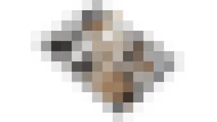 Blankenstrjitte 36 Kollumersweach thumbnail 42