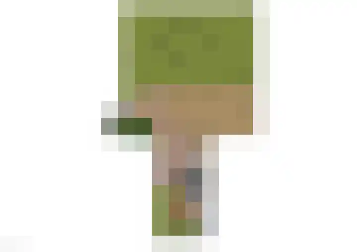 Blankenstrjitte 36 Kollumersweach thumbnail 5