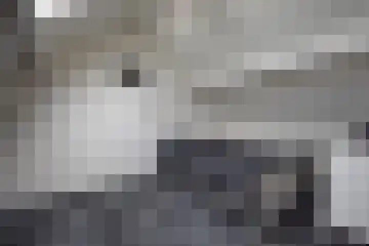 Blankenstrjitte 36 Kollumersweach thumbnail 54